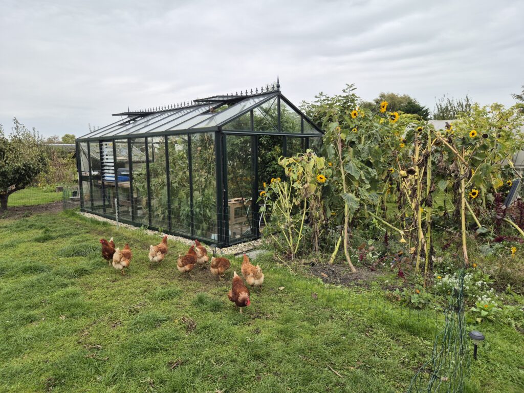 Hobbykas Helios M36 - Schellinkhout 2 Hobbykas Helios M36 - Schellinkhout 2